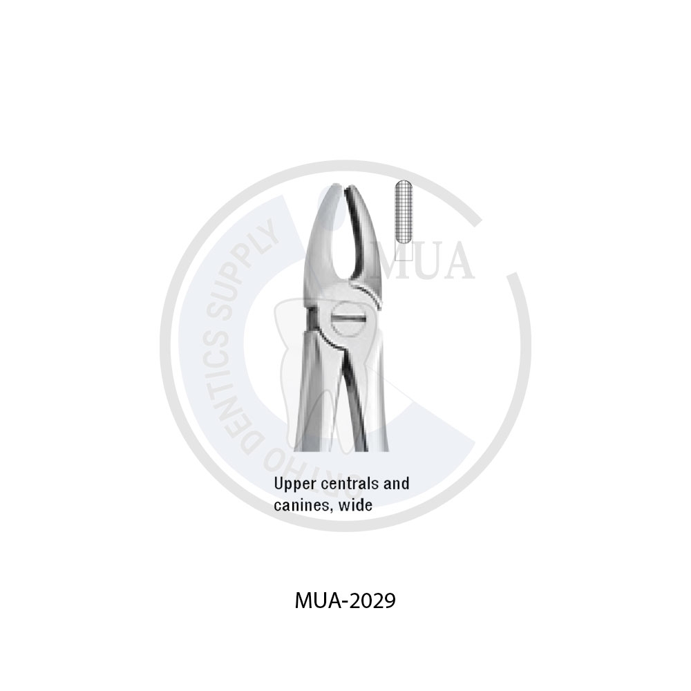 ANATOMIC TOOTH FORCEPS